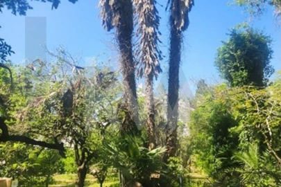 Terreno para Venda em Carcavelos e Parede