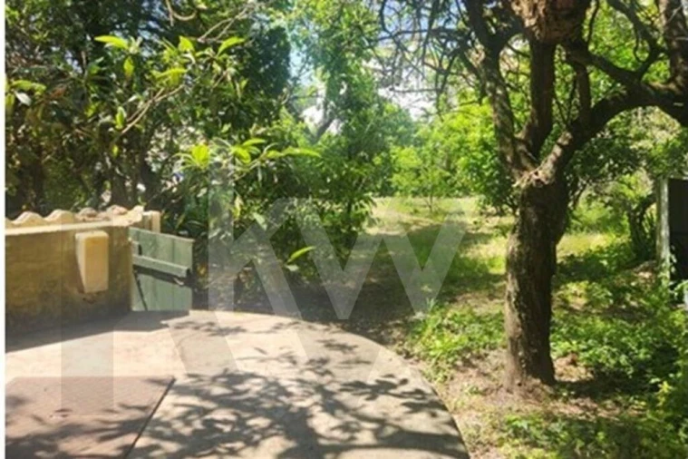Terreno para Venda em Carcavelos e Parede Foto 6