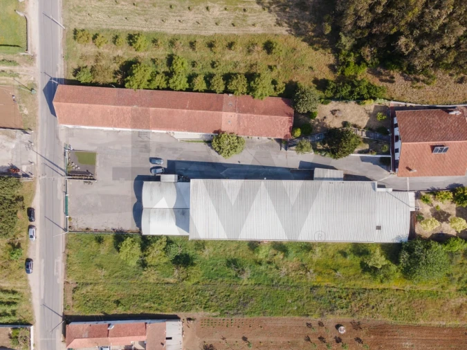 Moradia T4 para Venda em Coz, Alpedriz e Montes Foto 3