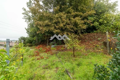 Moradia T6 para Venda em Freamunde