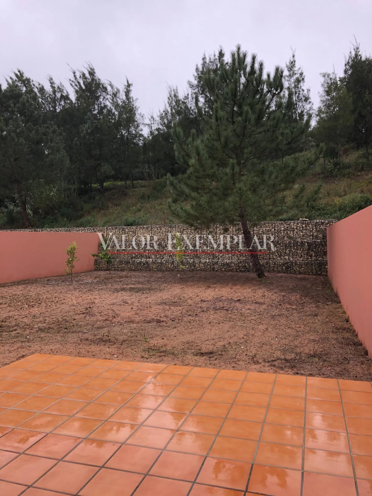 Moradia T3 para Venda em Bombarral e Vale Covo Foto 4