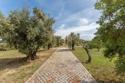 Moradia T8 para Venda em Pavia