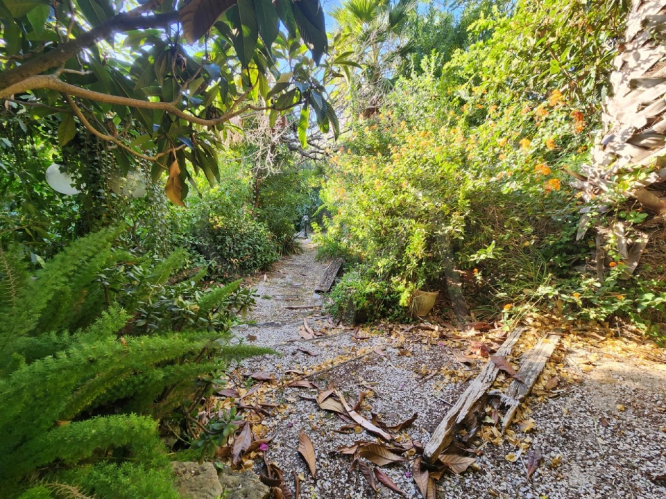 Terreno para Venda em Carcavelos e Parede Foto 8