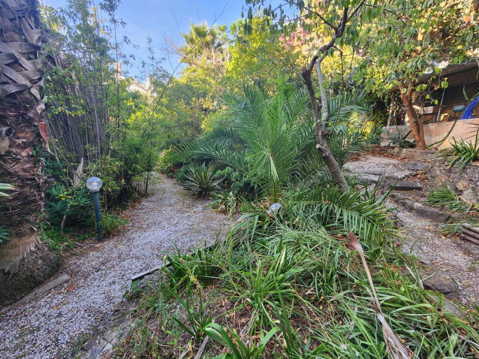 Terreno para Venda em Carcavelos e Parede Foto 7