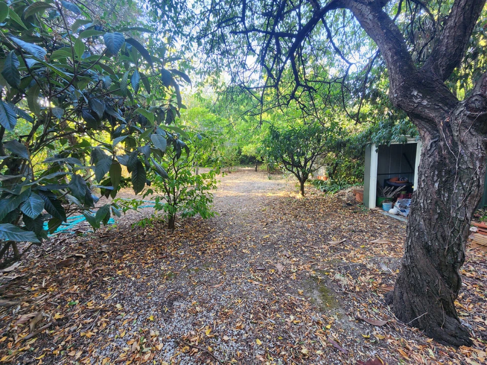 Terreno para Venda em Carcavelos e Parede Foto 5