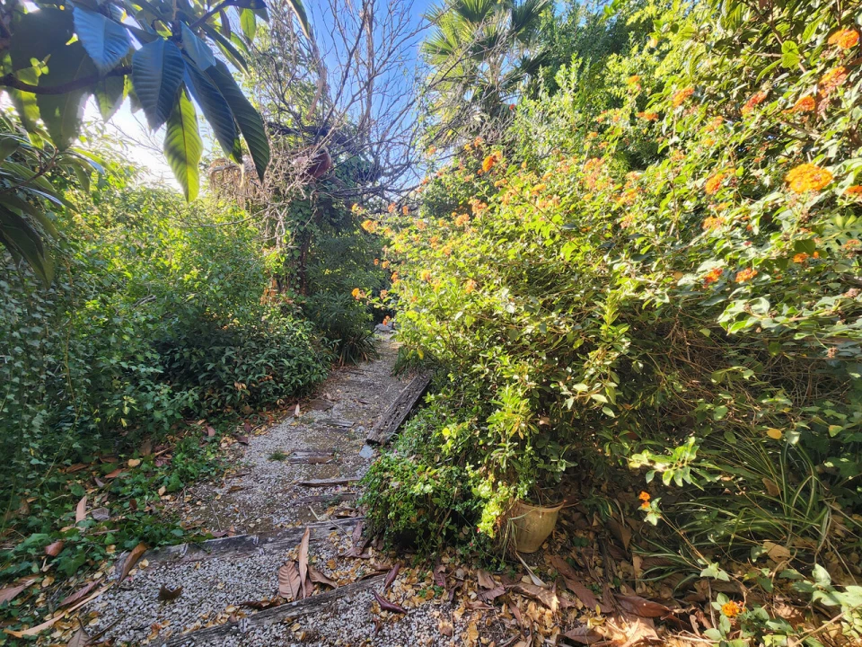 Terreno para Venda em Carcavelos e Parede Foto 10