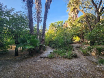 Terreno para Venda em Carcavelos e Parede