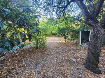 Terreno para Venda em Carcavelos e Parede