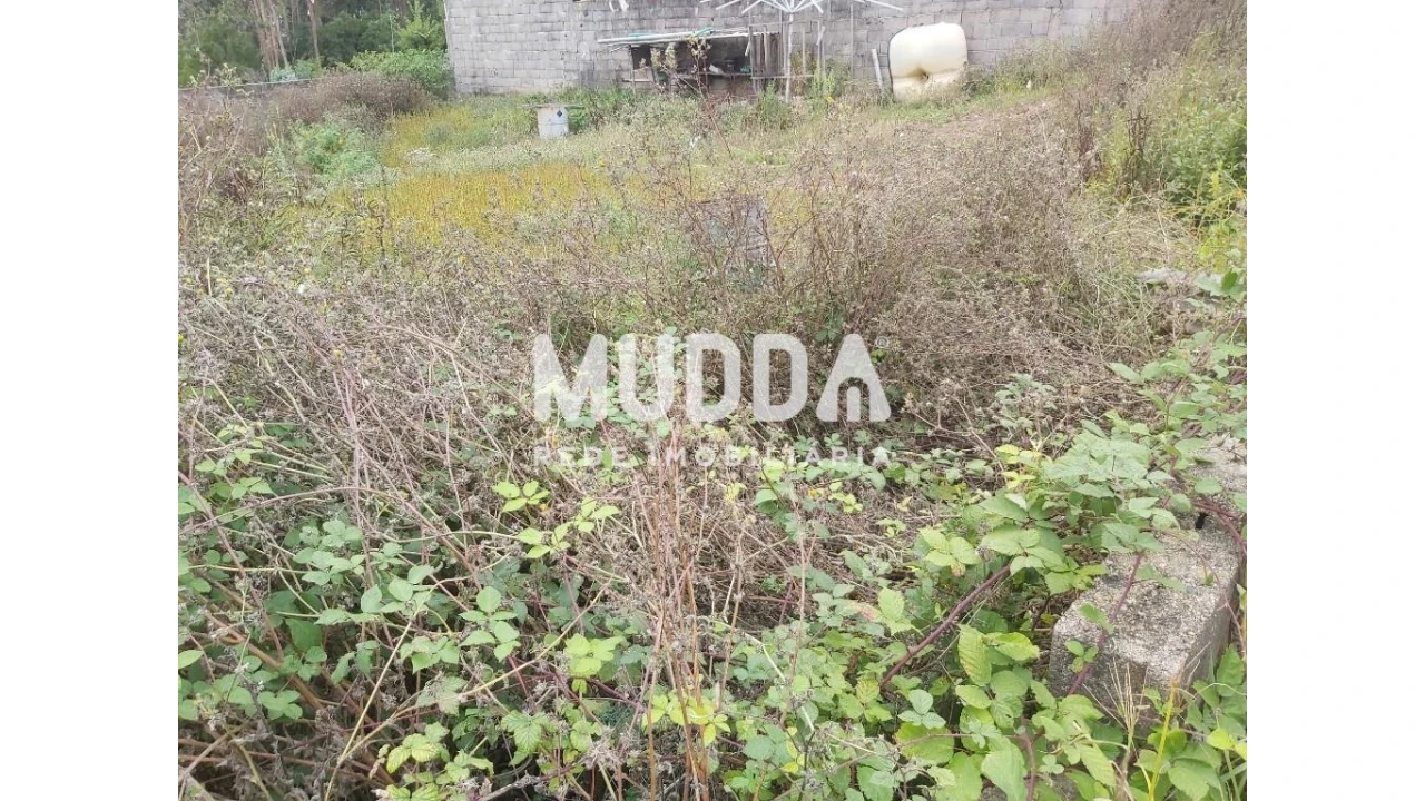 Terreno para Venda em Macieira de Sarnes Foto 16