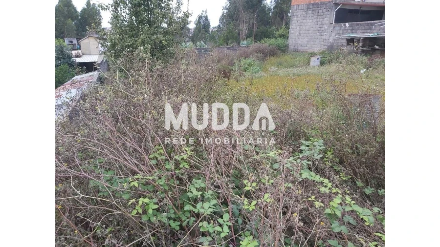 Terreno para Venda em Macieira de Sarnes Foto 17