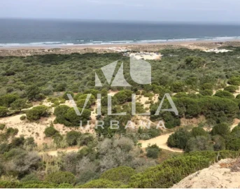 Moradia T4 para Venda em Amora