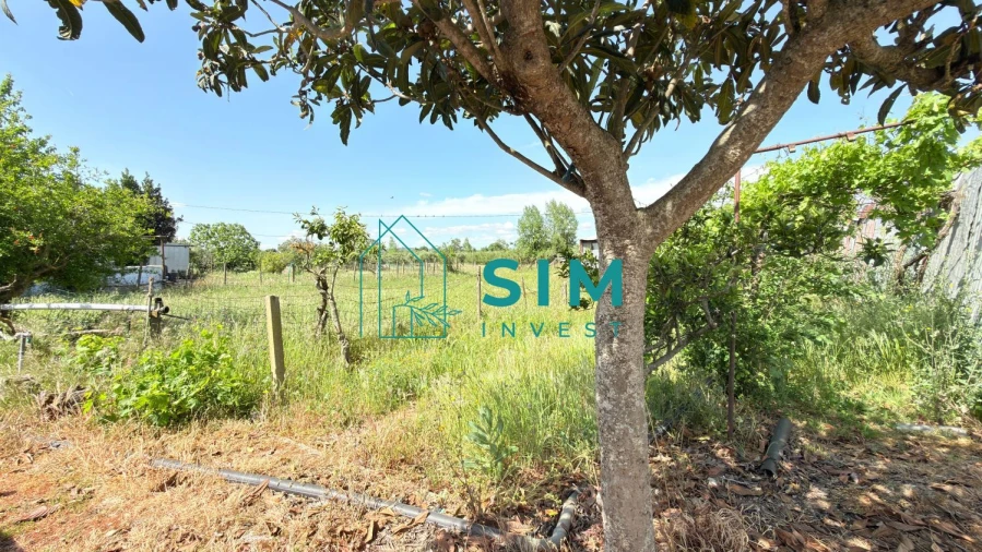 Quinta T2 para Venda em Canaviais Foto 25