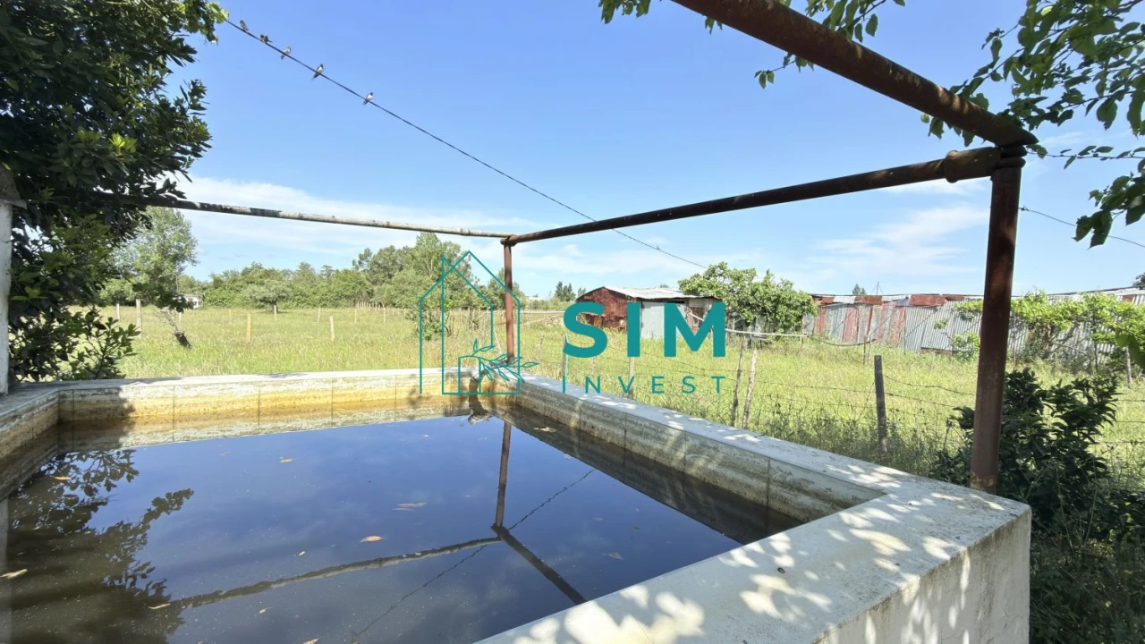 Quinta T2 para Venda em Canaviais Foto 33