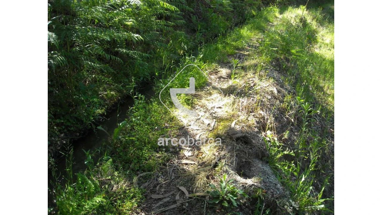 Terreno para Venda em Gondoriz Foto 11
