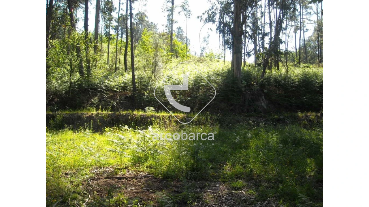 Terreno para Venda em Gondoriz Foto 6