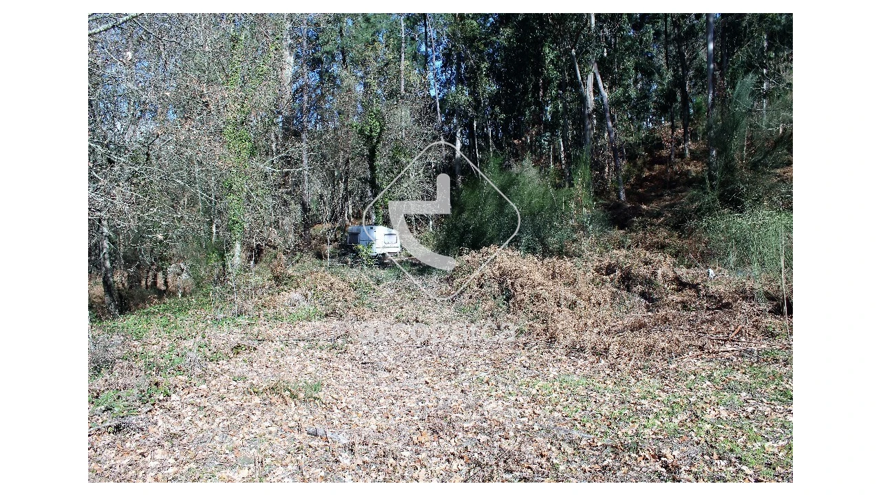 Terreno para Venda em Gondoriz Foto 14