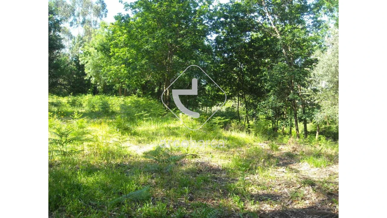 Terreno para Venda em Gondoriz Foto 2