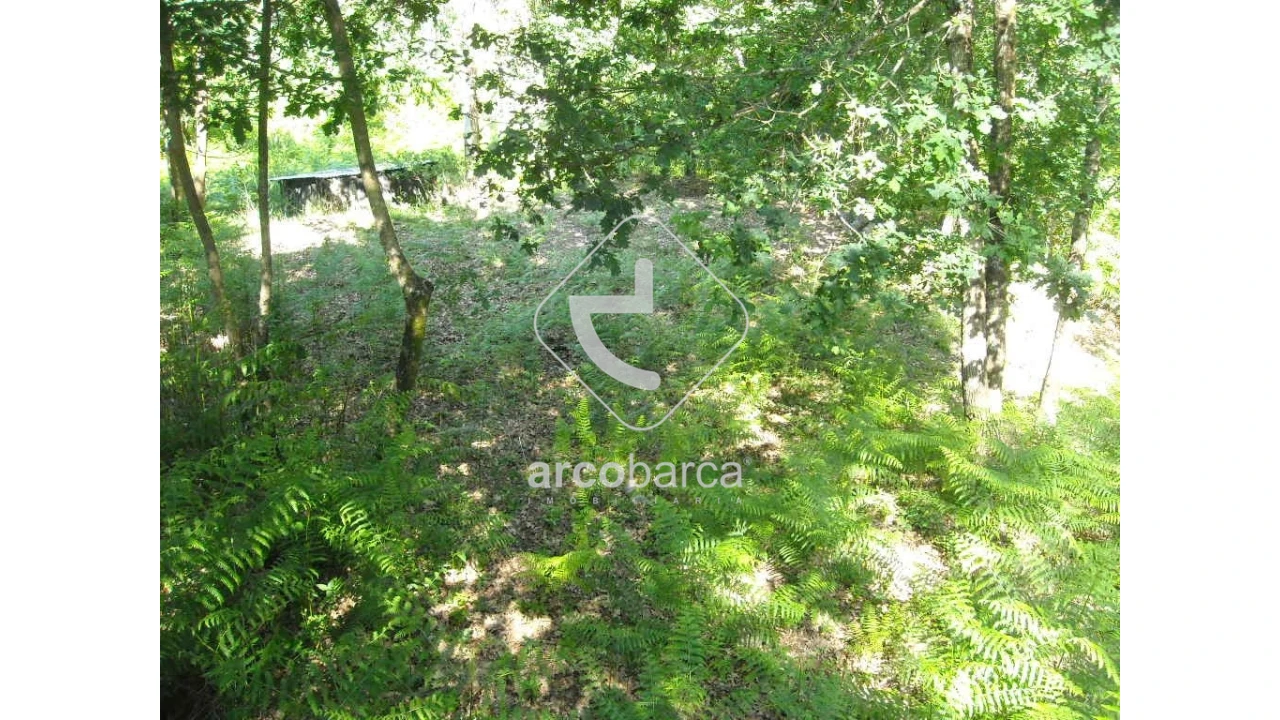 Terreno para Venda em Gondoriz Foto 5