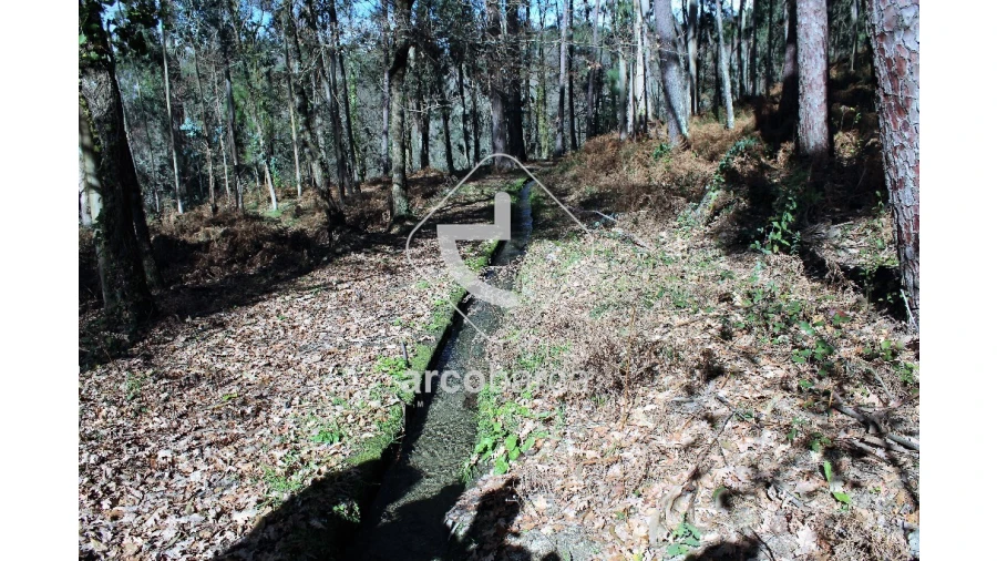Terreno para Venda em Gondoriz Foto 15