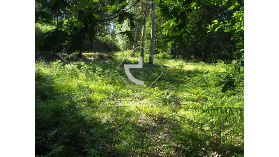 Terreno para Venda em Gondoriz Foto 7