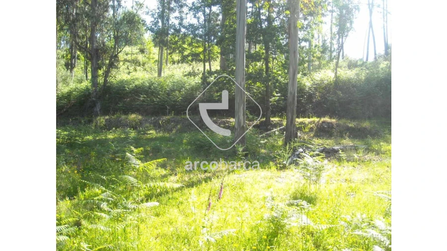 Terreno para Venda em Gondoriz Foto 4