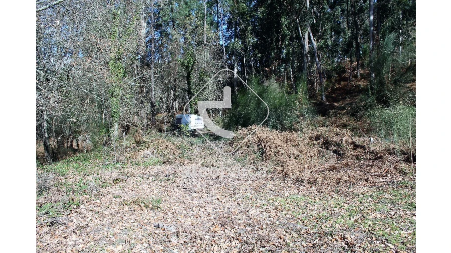 Terreno para Venda em Gondoriz Foto 14