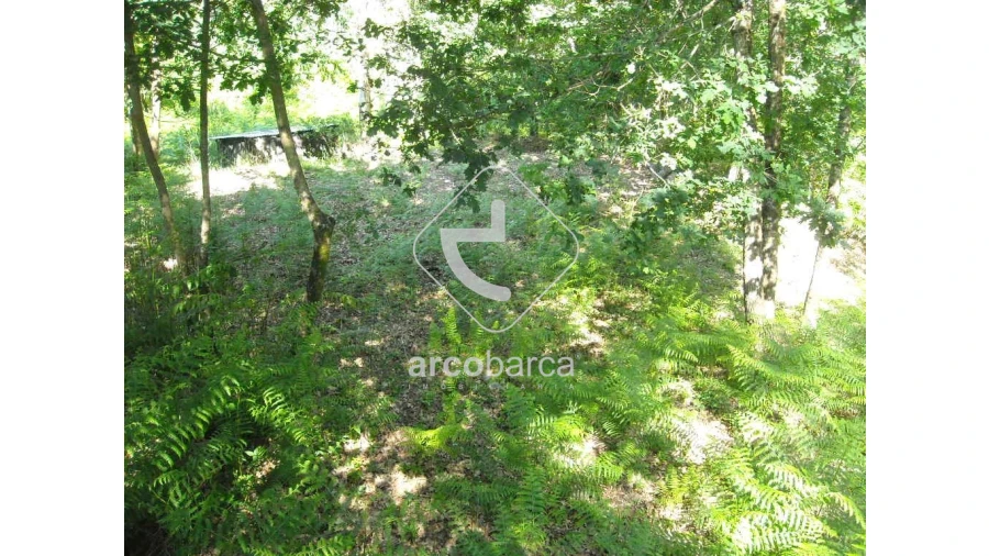 Terreno para Venda em Gondoriz Foto 5