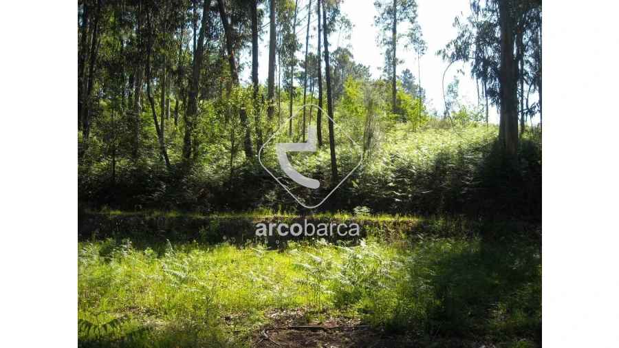 Terreno para Venda em Gondoriz Foto 8