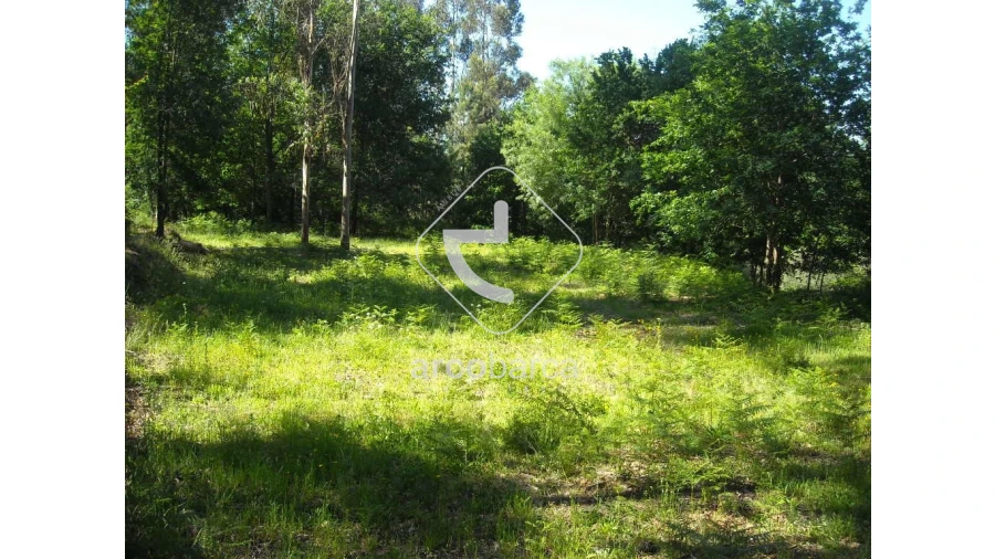 Terreno para Venda em Gondoriz Foto 13