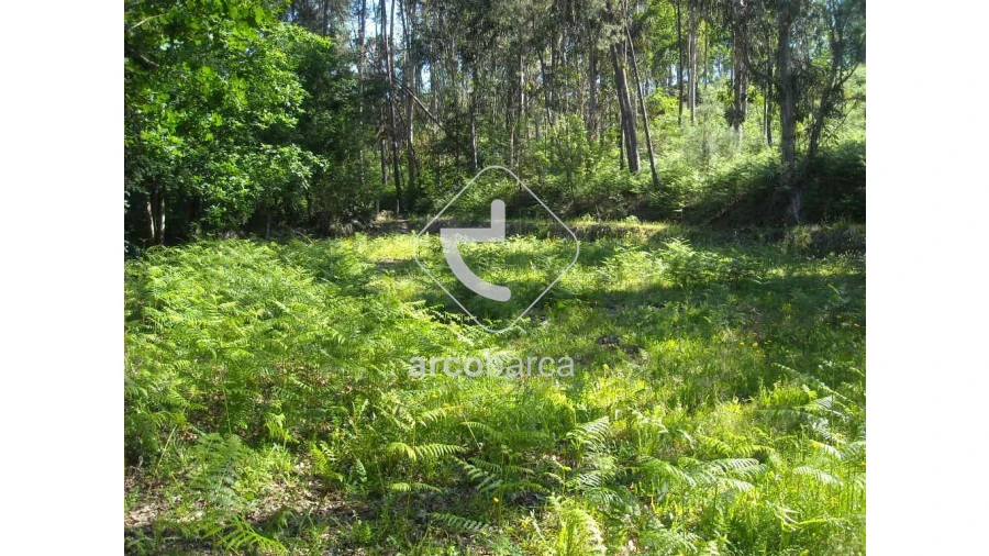 Terreno para Venda em Gondoriz Foto 3