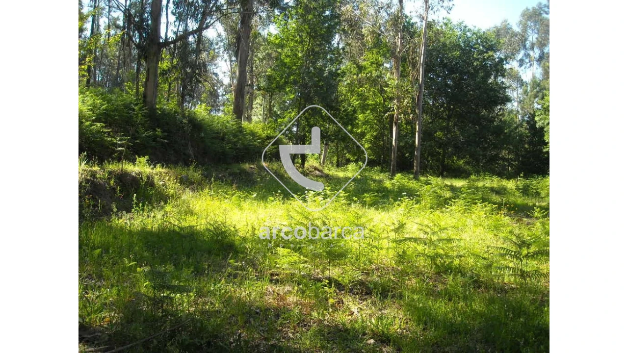 Terreno para Venda em Gondoriz Foto 9