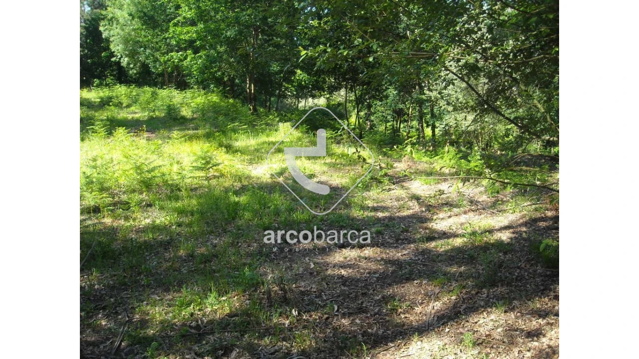 Terreno para Venda em Gondoriz Foto 12