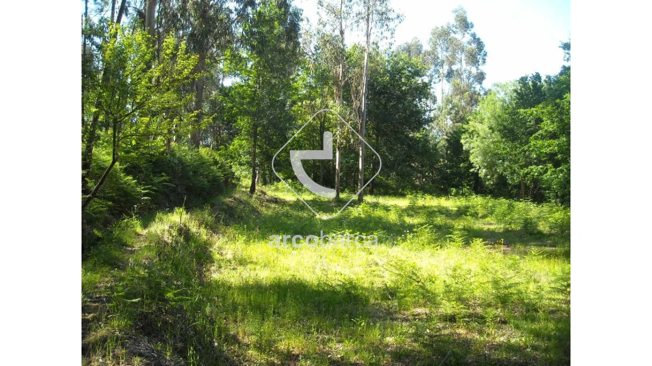 Terreno para Venda em Gondoriz Foto 1