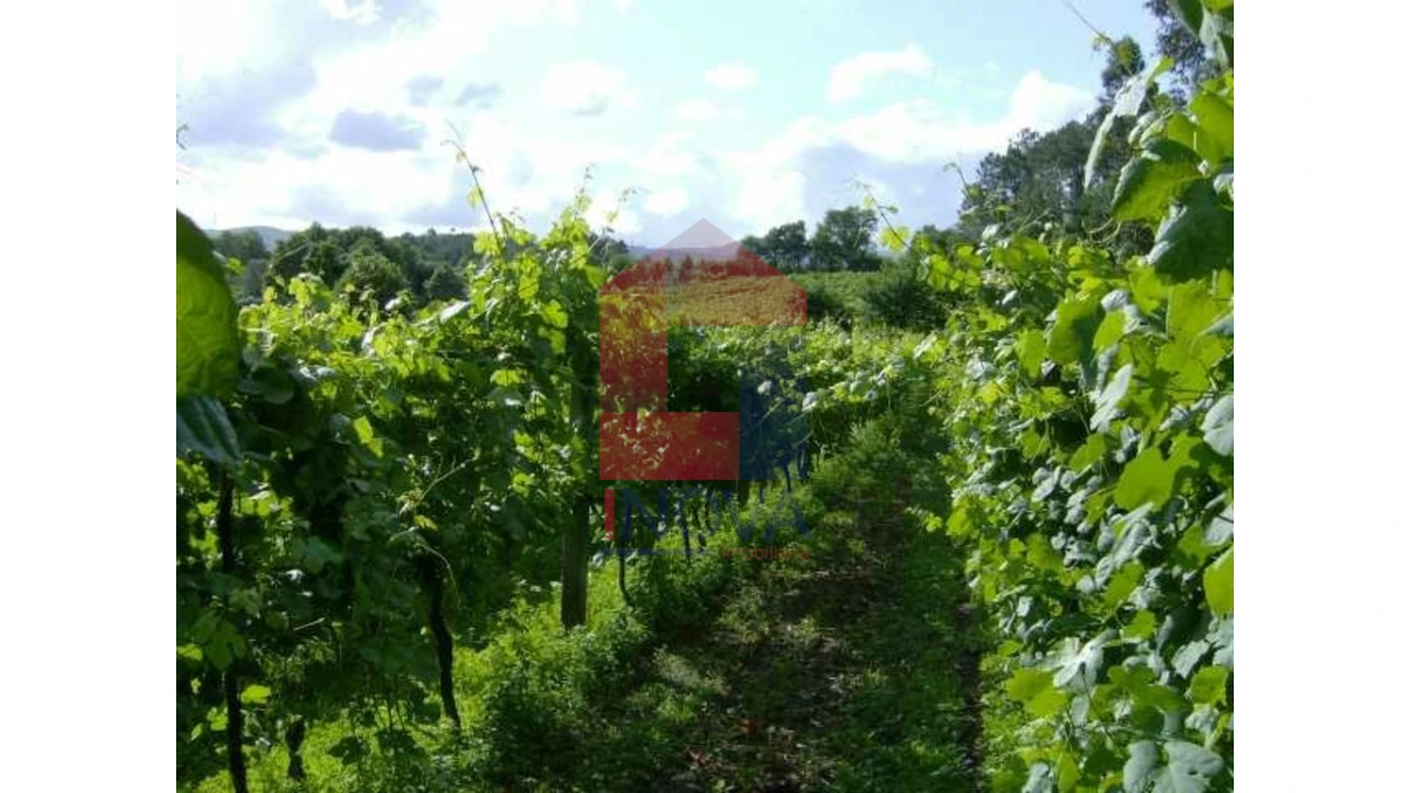 Terreno para Venda em Coucieiro Foto 3