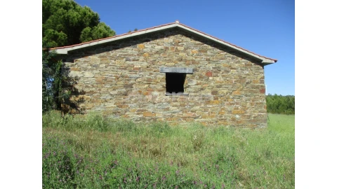 Terreno para Venda em Cebolais de Cima e Retaxo