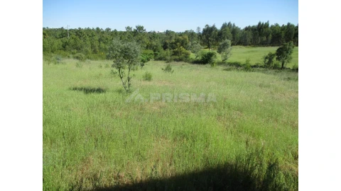 Terreno para Venda em Cebolais de Cima e Retaxo