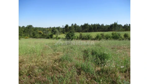Terreno para Venda em Cebolais de Cima e Retaxo