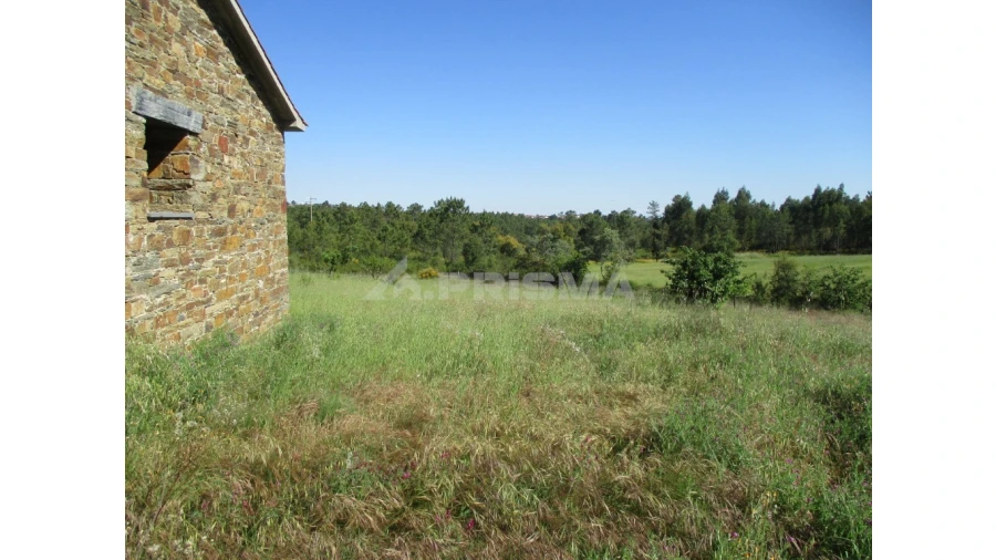 Terreno para Venda em Cebolais de Cima e Retaxo Foto 2
