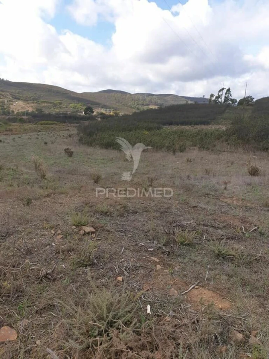 Terreno para Venda em Mexilhoeira Grande Foto 2