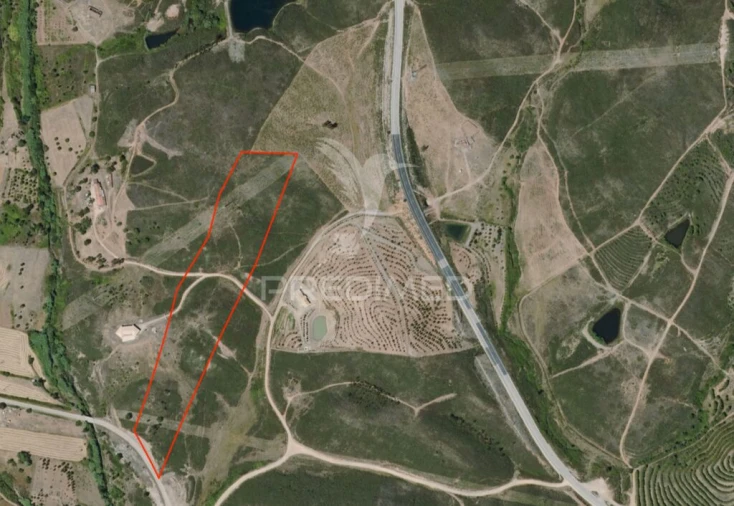 Terreno para Venda em Mexilhoeira Grande Foto 1