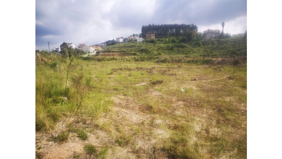 Terreno para Venda em Eiras e São Paulo de Frades Foto 4