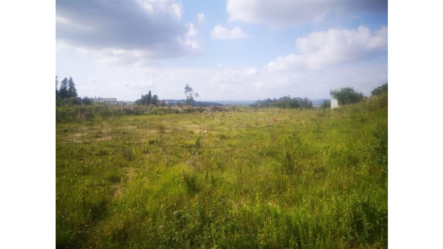 Terreno para Venda em Eiras e São Paulo de Frades Foto 1