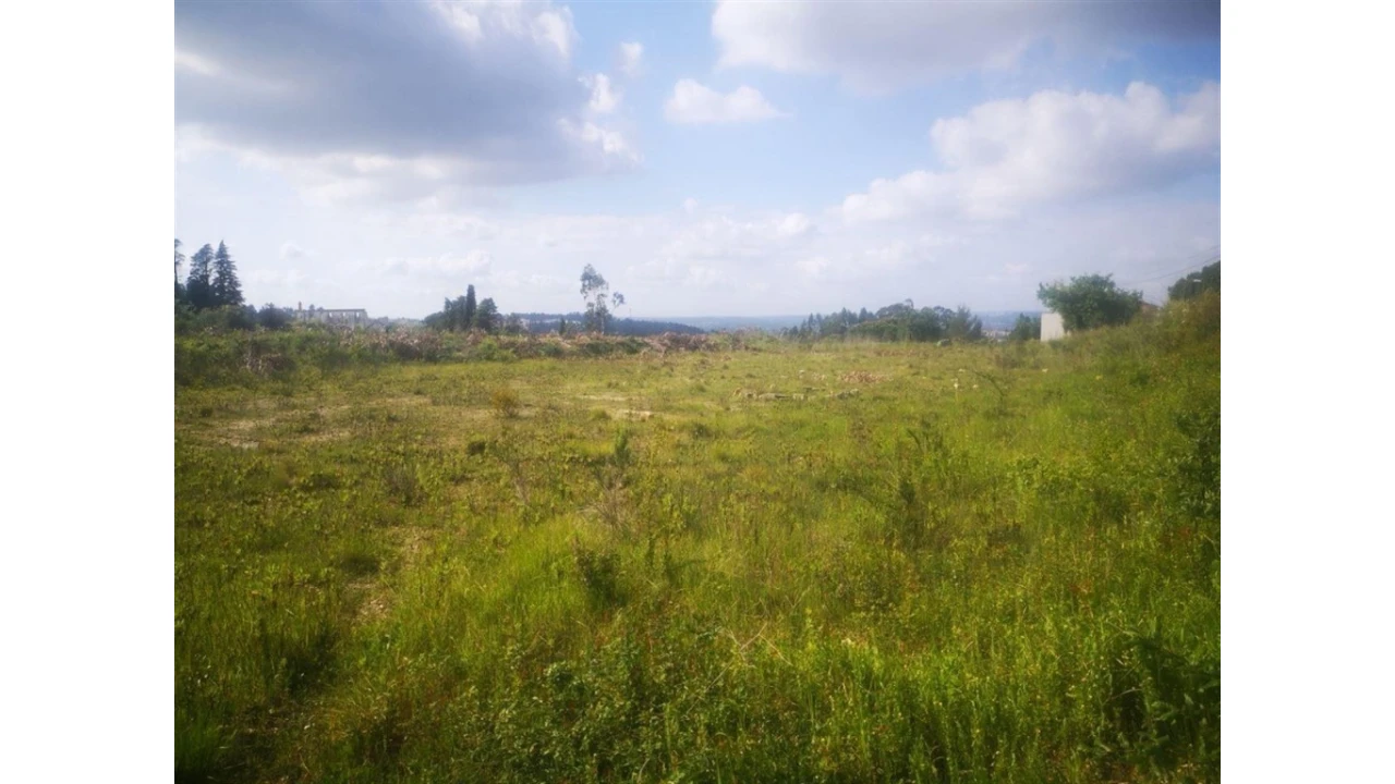 Terreno para Venda em Eiras e São Paulo de Frades Foto 1