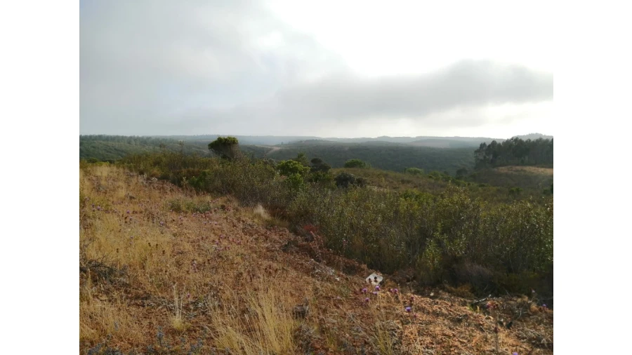 Terreno para Venda em Aljezur Foto 3