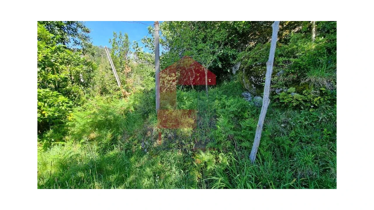 Moradia T1 para Venda em Cibões e Brufe Foto 23