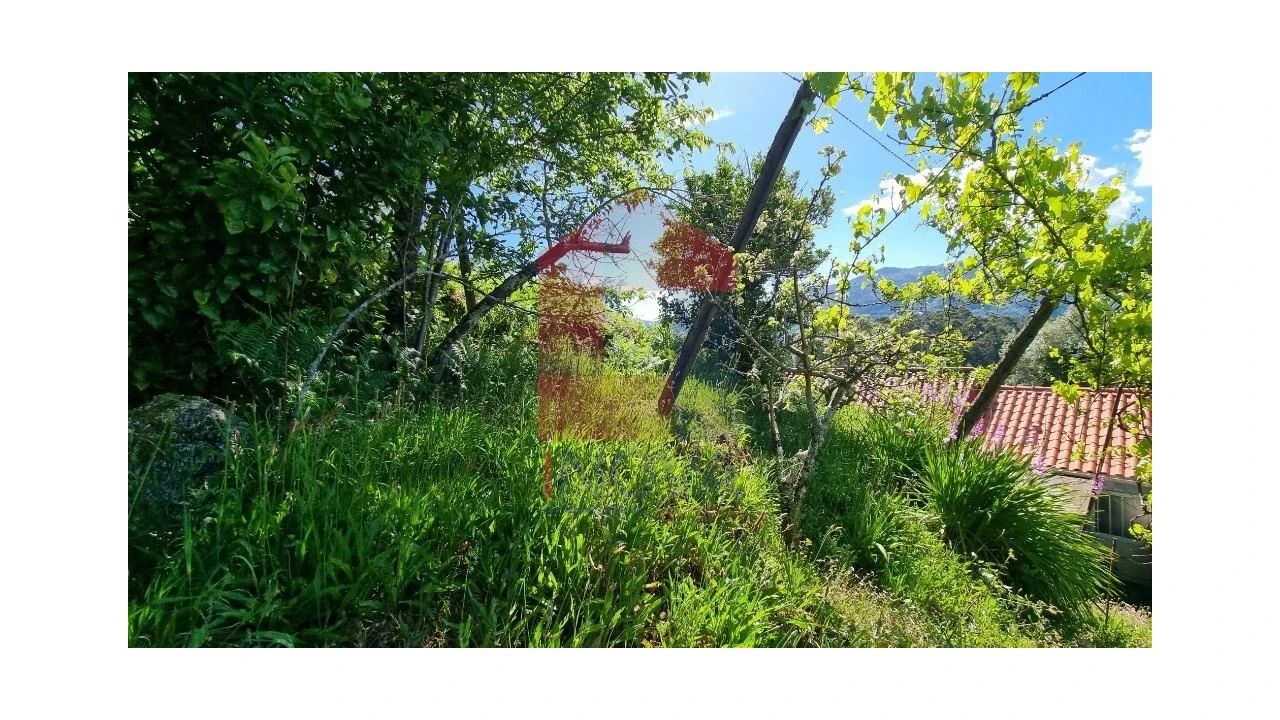 Moradia T1 para Venda em Cibões e Brufe Foto 24