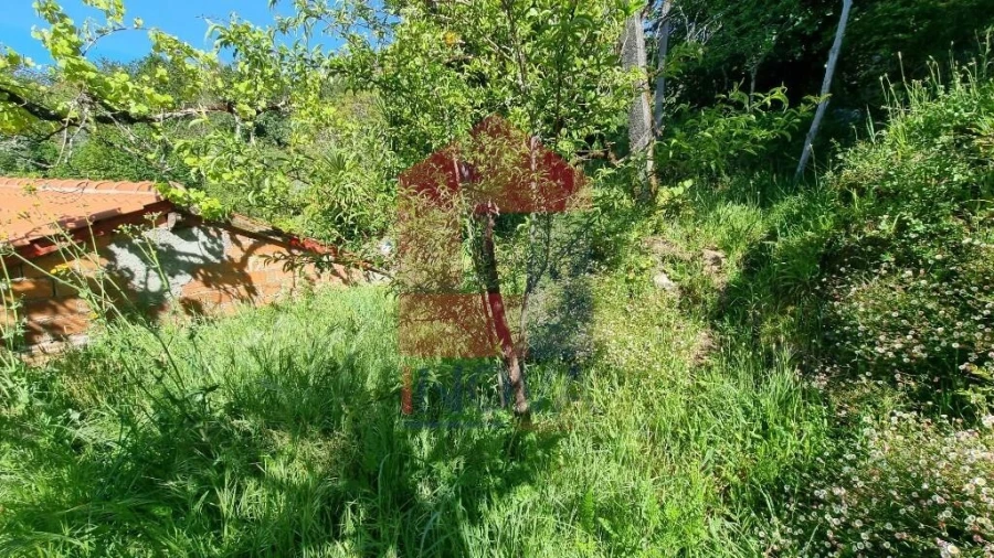 Moradia T1 para Venda em Cibões e Brufe Foto 21