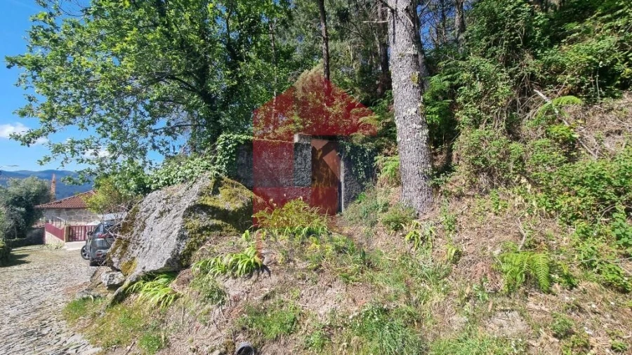 Moradia T1 para Venda em Cibões e Brufe Foto 34