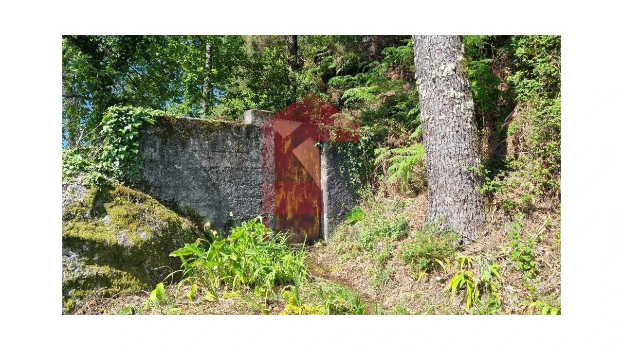 Moradia T1 para Venda em Cibões e Brufe Foto 33