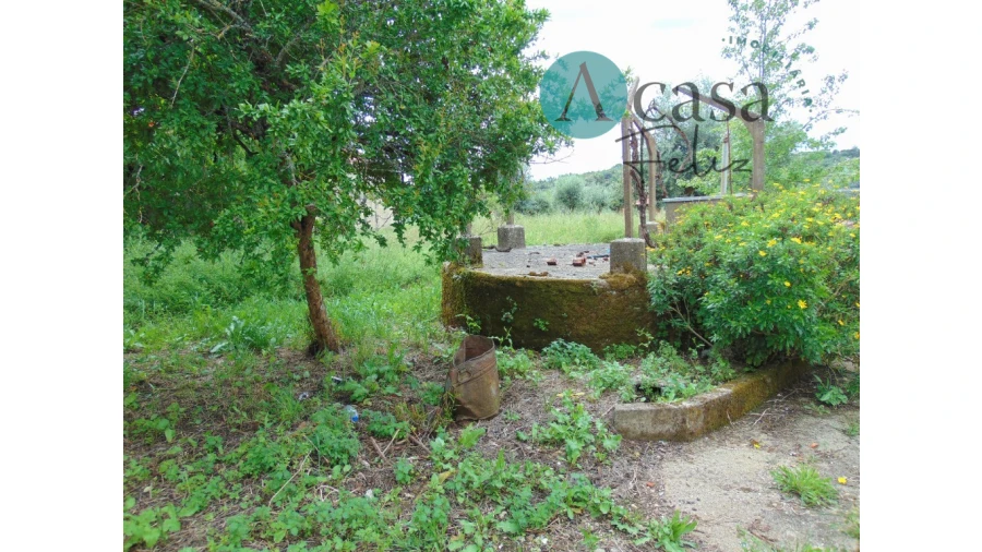 Moradia T2 para Venda em Nossa Senhora do Pranto Foto 8